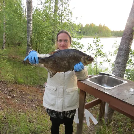 Saimaa Lakeside