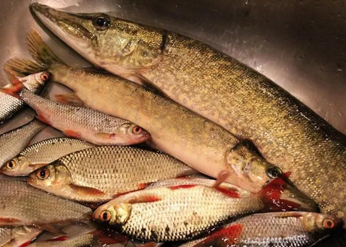 Saimaa Lakeside Βίλα *